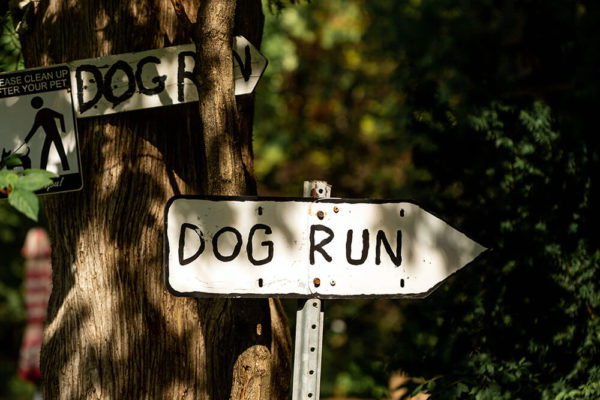 Dog run sign