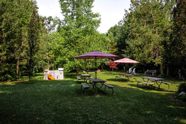 Picnic and play area